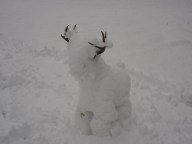 Snow deer now looks like snow buffalo!