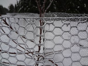 Ice on the fence around our fruit trees!
