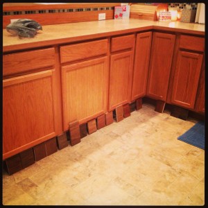 A Herd of Floor Samples!