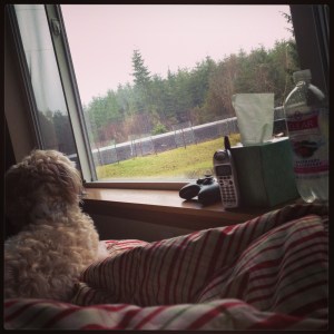 A snapshot of my week