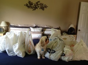 Looks like we emptied the stores! (The little dog was not purchased today)