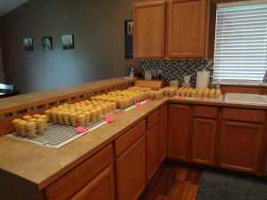 Waiting to be frosted!