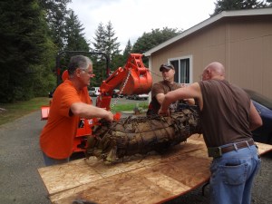 Releasing the piggie!