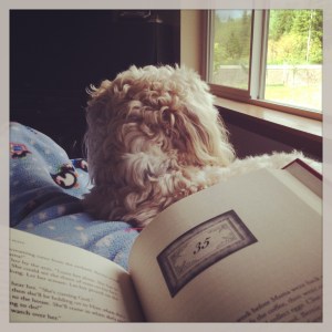 Snuggling with the puppy and a good book!