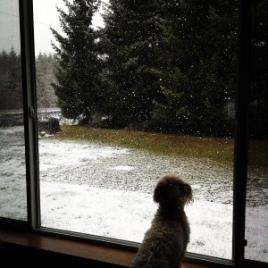 Tuesday's light snow