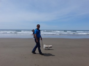 A great day for a walk