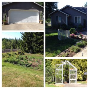 Trying to keep the green things green