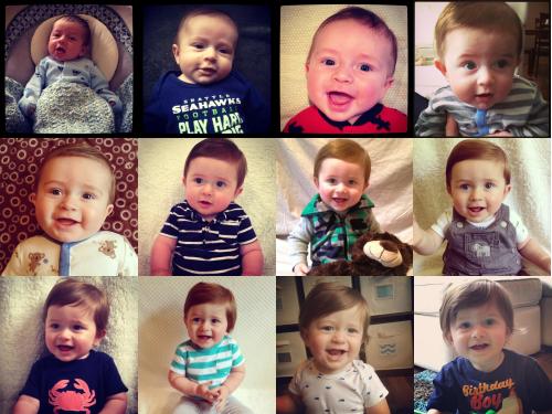 I had fun! Owen Month by Month!