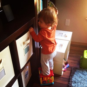 Climber and Book Lover