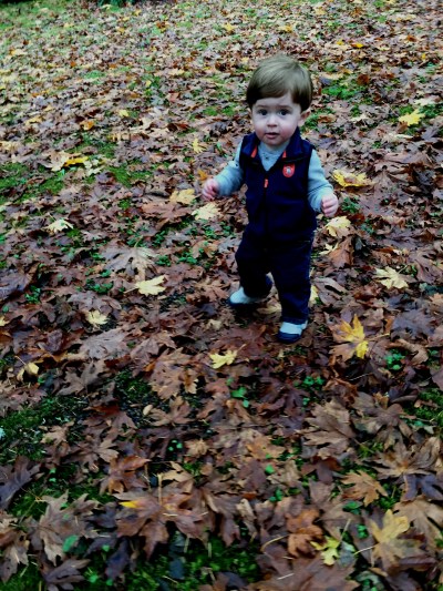 Walking in the leaves