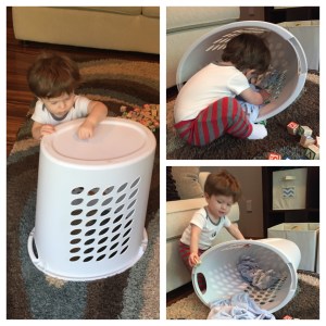 Laundry baskets can be endlessly entertaining! 