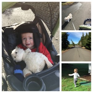 Enjoying the sunshine on Monday