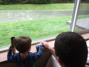 Remote control boat in the backyard pond