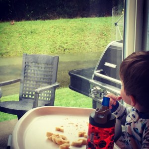 Watching a bunny while eating breakfast