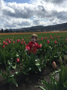 Owen and the tulips!