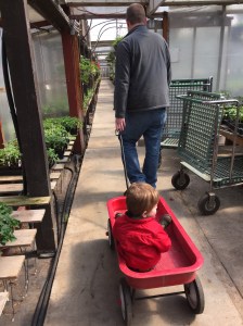 Helping Dad find the perfect hanging basket
