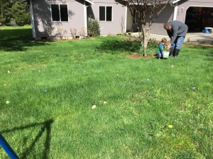 Egg hunt in our yard