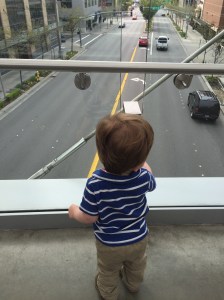 Enjoying the view from the Skybridge