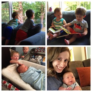 Play date with Nolan & Bennett