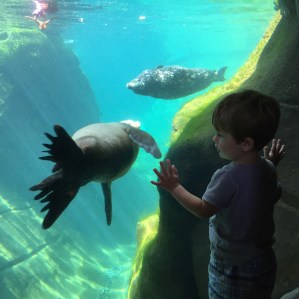 Spending a day down south at the Oregon Coast Aquarium and shopping at the Lincoln City Outlets