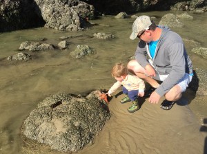 Tide pools at Haystack Rock