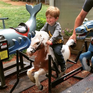 Enjoying the plastic "neigh neigh" at Lattin's Cider Mill & Farm
