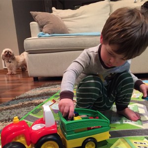 Carefully loading his cars into his tractor